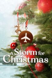 Nonton Film A Storm for Christmas (2022) Terbaru Nonton Film A Storm for Christmas (2022) Terbaru